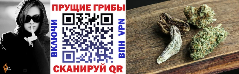 Галлюциногенные грибы ЛСД  Купить где  Кимры 